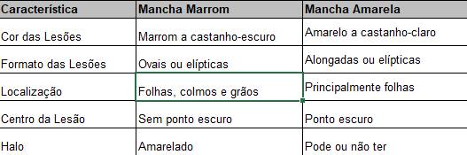 diferença mancha marrom e amarela