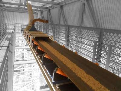 trigo-correia-transportadora-2-1